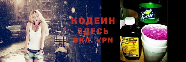 хмурый Арсеньев