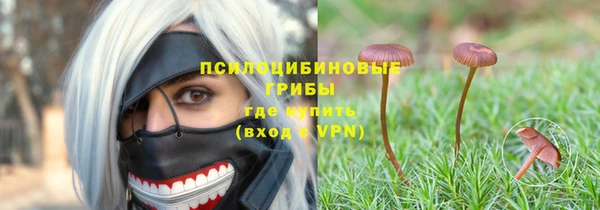 мескалин Аркадак