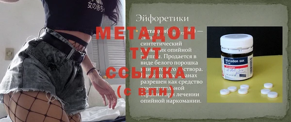 хмурый Арсеньев
