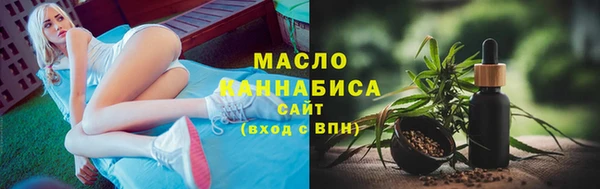 хмурый Арсеньев