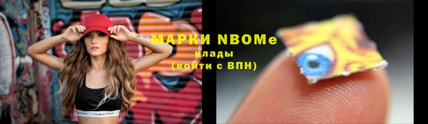 хмурый Арсеньев