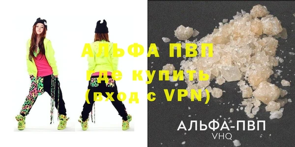 хмурый Арсеньев