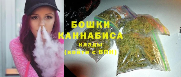 хмурый Арсеньев
