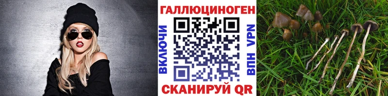 Галлюциногенные грибы Magic Shrooms  Асбест 