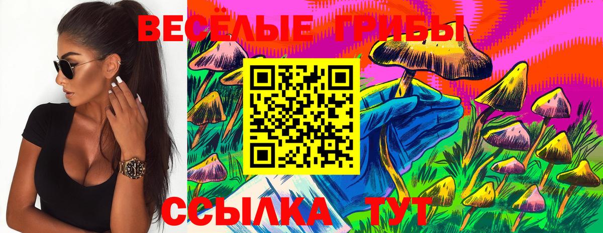 Галлюциногенные грибы прущие грибы Асбест