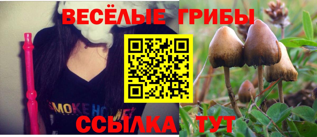 Псилоцибиновые грибы ЛСД  Вход с VPN  Асбест 